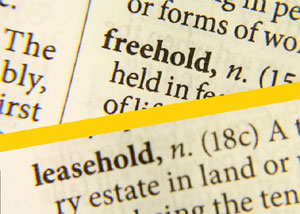 Freehold/leasehold document image