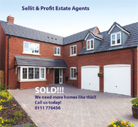 Sellit & Profit Estate Agency image