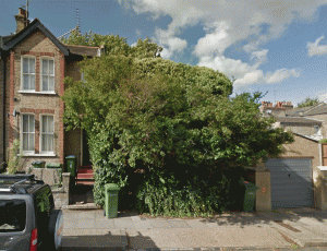 savills tree house