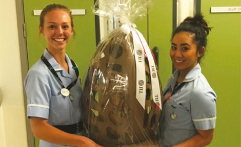 JLL charity egg image
