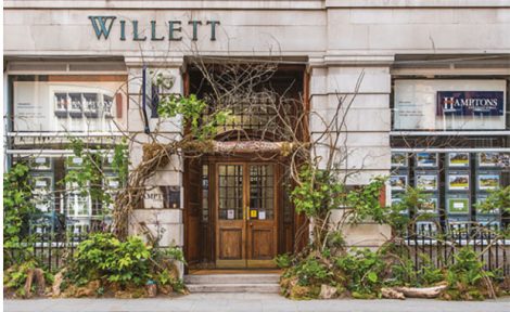 Hamptons Chelsea Bloom image