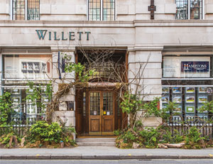 Hamptons Chelsea Bloom image