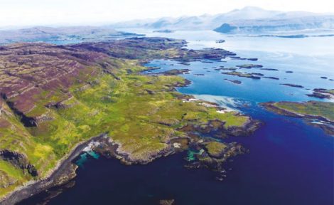 Ulva Island image