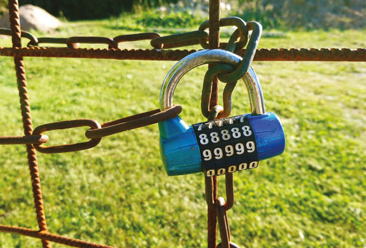 Padlocked fence image