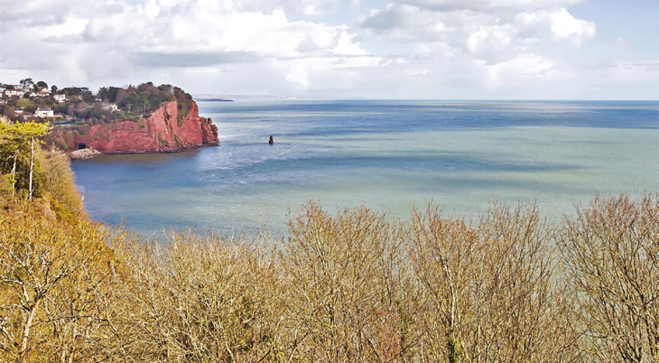 Network Auction coastal property image
