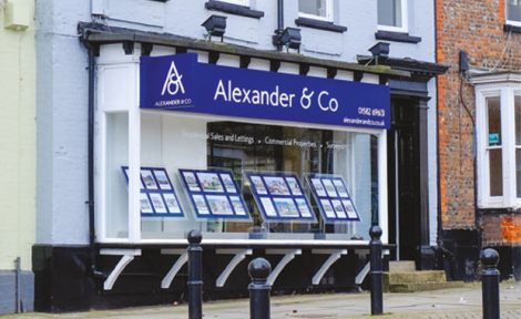 Alexander & Co estate agents image