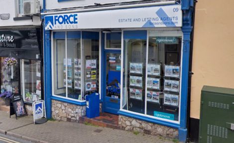 Force and Sons image