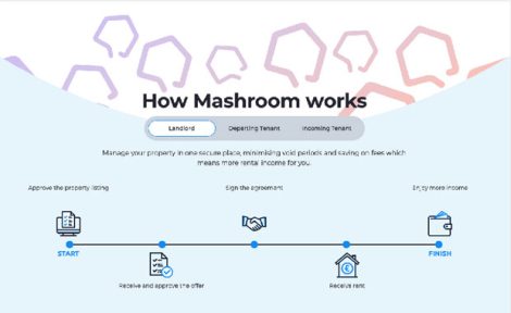 Mashroom team photo image