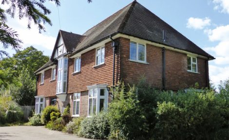 Link to Auction News