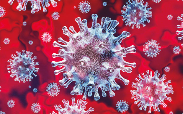Link to Coronavirus Crisis special report