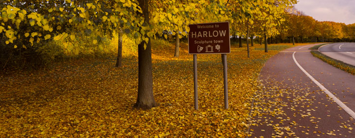 harlow property
