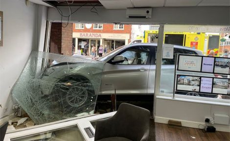 shamplina rent to rent