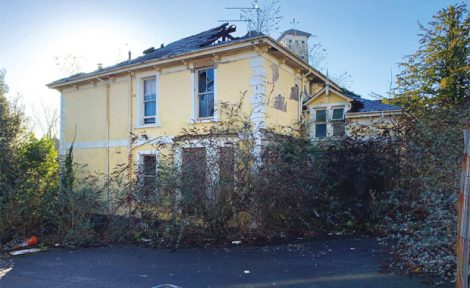 Link to Auction news