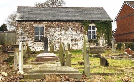 Link to Auction news