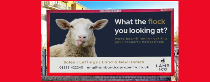 lamb and co ASA advert