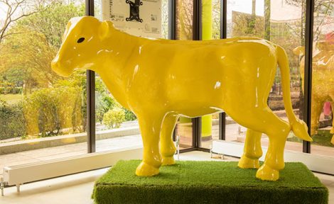 milton keynes estate agency mustard