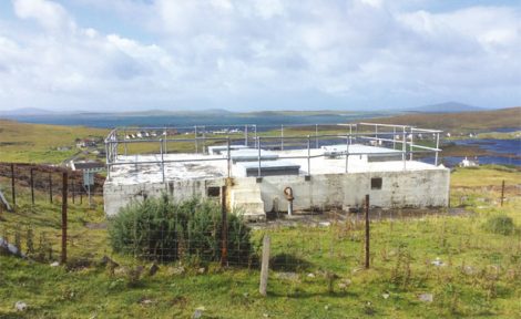 Link to Auction news