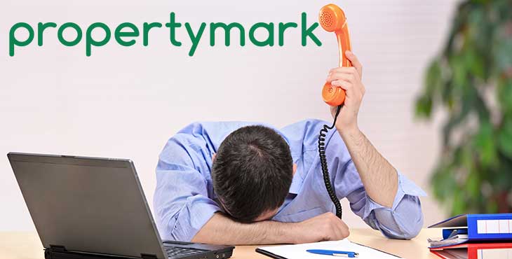 Propertymark agent