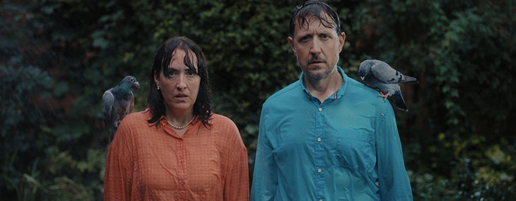 commisery purplebricks