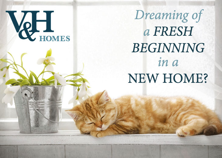 V&H Homes marketing image