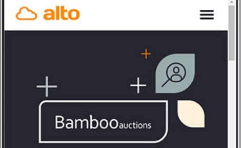 Bamboo Auction image