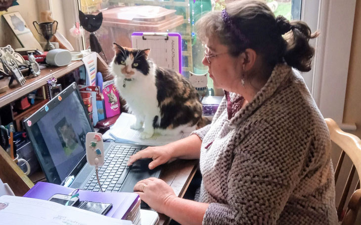 AdvoCATS’ founder Jen Berezai with her cat