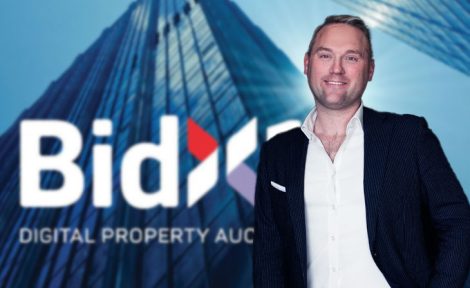 Stuart Collar Brown Bidx1