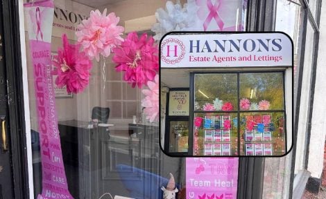 Hannons for cancer research