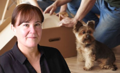 Sián Hemming-Metcalfe, Inventory Base