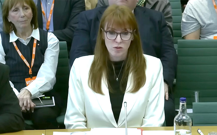 Rayner urges ministers to regulate managing agents