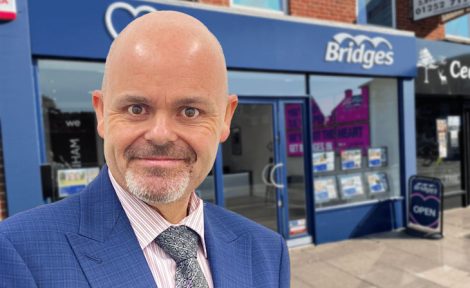 Kevin Wincheste, Bridges