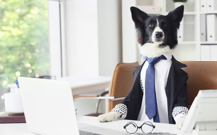 business attire estate agency ties