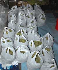 cannabis bags image