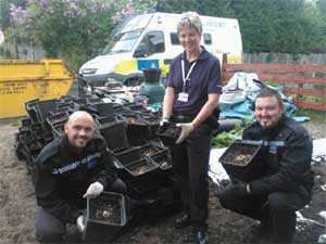 cannabis detection image