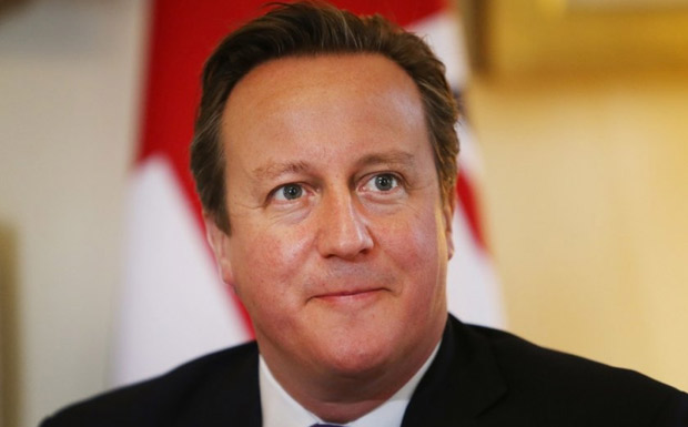 David Cameron PM image