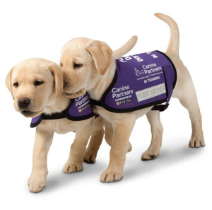 Canine Partners image